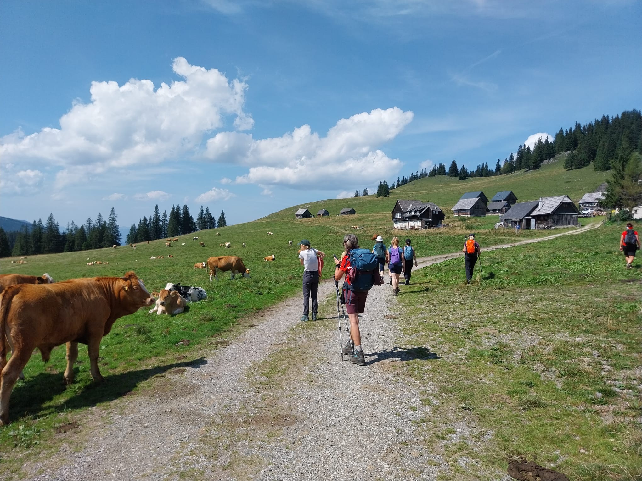 Yoga und Wandern